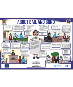 bailbondillustrated_poster